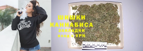 дживик Баксан