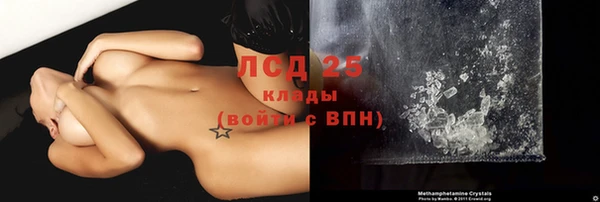 трава Аркадак