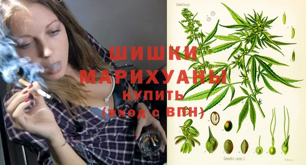 трава Аркадак