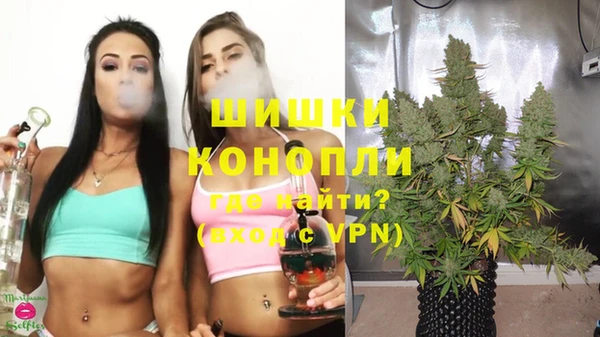 трава Аркадак