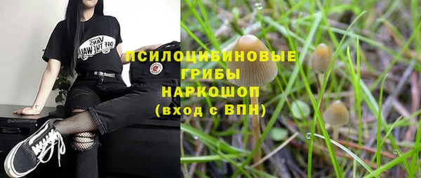 трава Аркадак