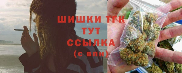 трава Аркадак
