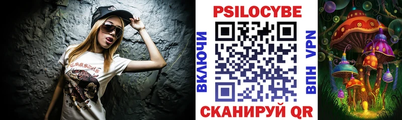 hydra вход  магазин продажи наркотиков  Безенчук  Псилоцибиновые грибы Psilocybe 